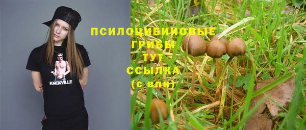 индика Нефтекумск