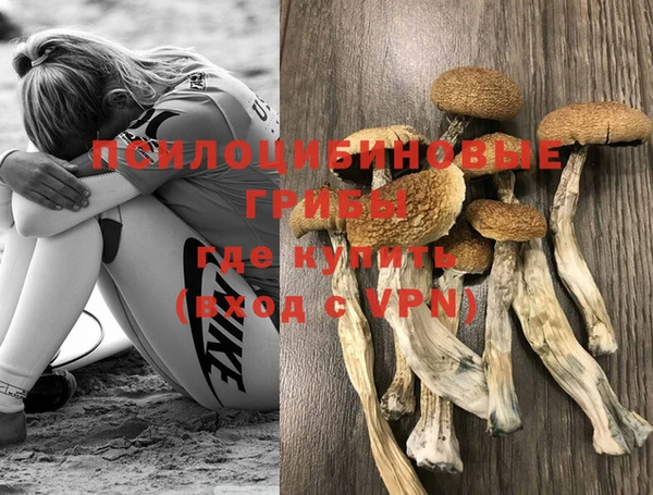 кокаин перу Новозыбков